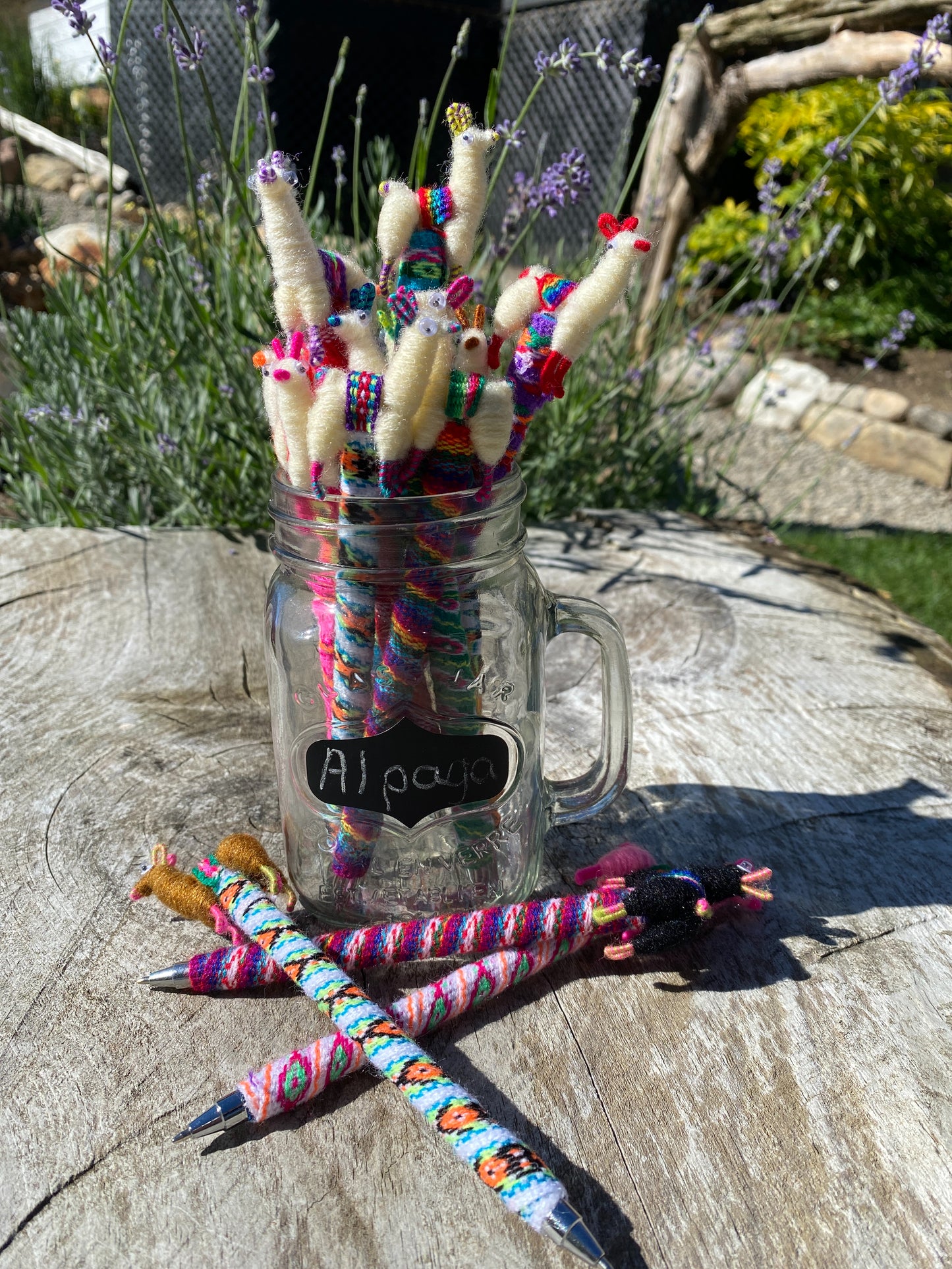 Crayon Alpaga