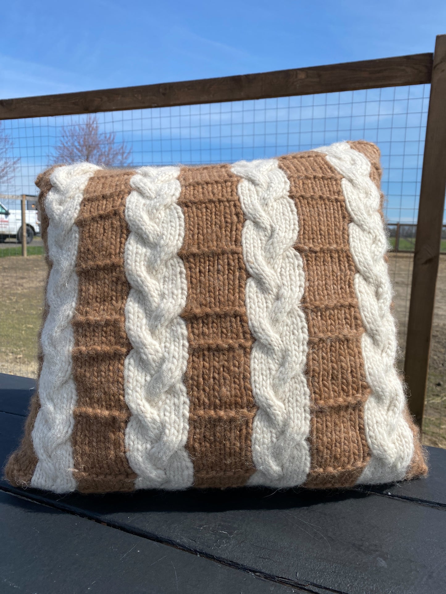 Coussin Hector